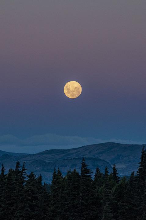 lunadas.jpg